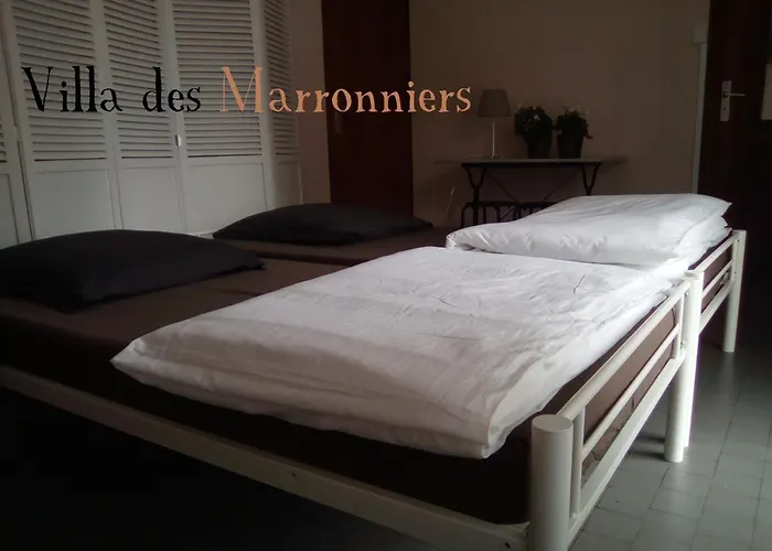 Des Marronniers