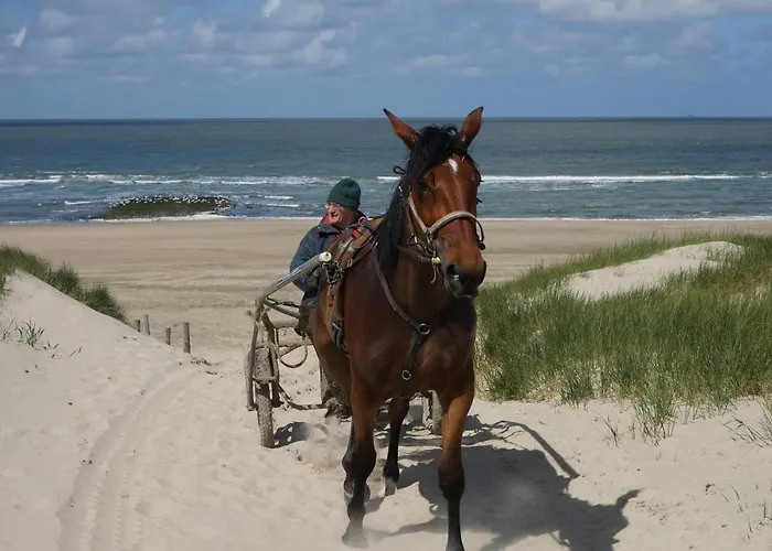 Aan Zee