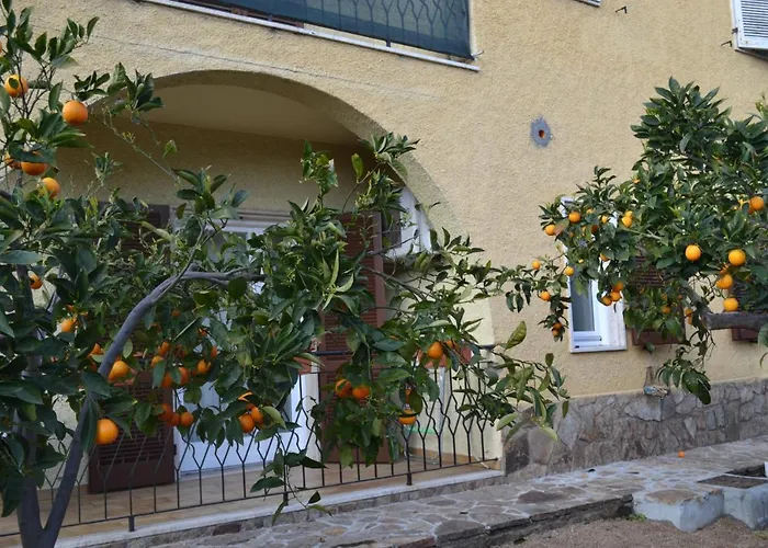 Bed and Breakfast Etesia Olbia