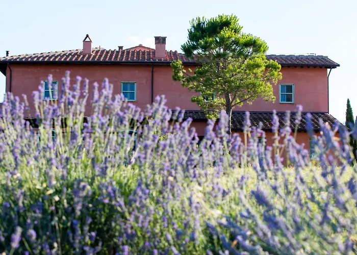 Agriturismo Le Tassinaie Castellina Marittima