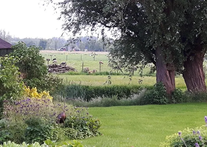 B&B de Oude Hofstee Maasdam