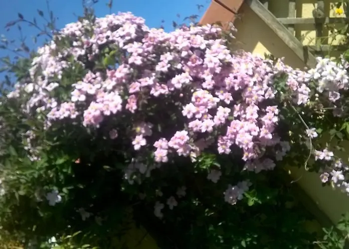 Bed and breakfast Wissant l'Opale