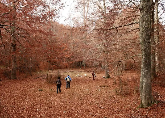 B&B Le Cinque Cime Viggianello