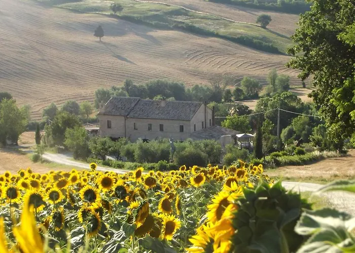 La Casa Degli Ulivi Art