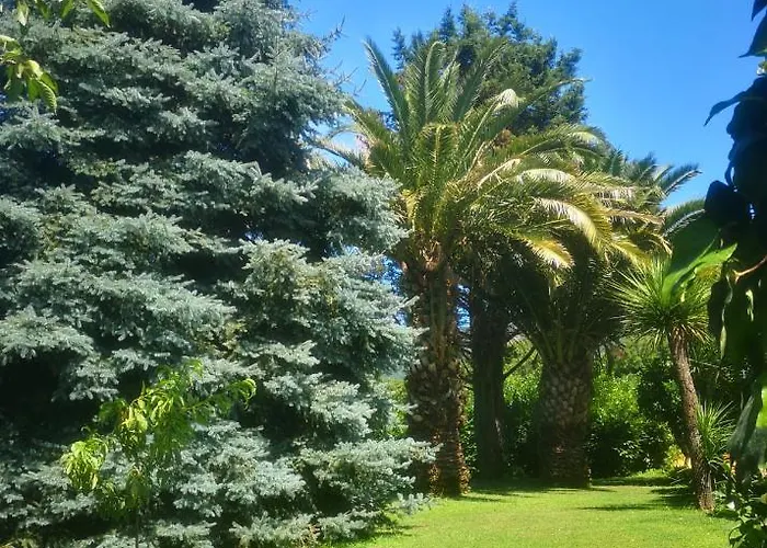 Villa Luisa Montoro Inferiore