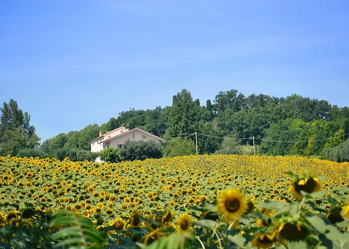 Le Piume B&B