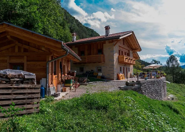 Agriturismo La Meta