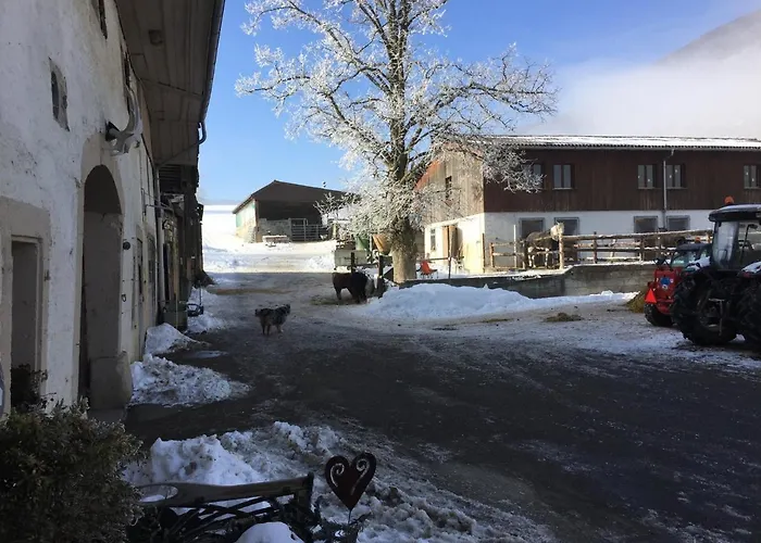 Bed and Breakfast Chez Dodo 2534 Orvin Le Foncet Evilard