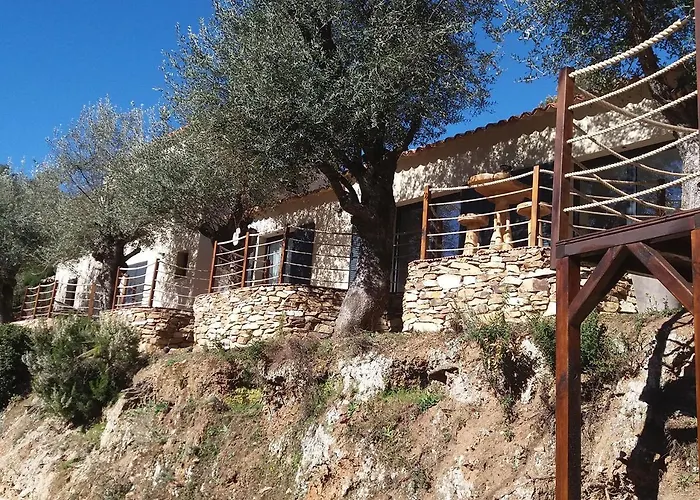 L'oliveraie du Fango