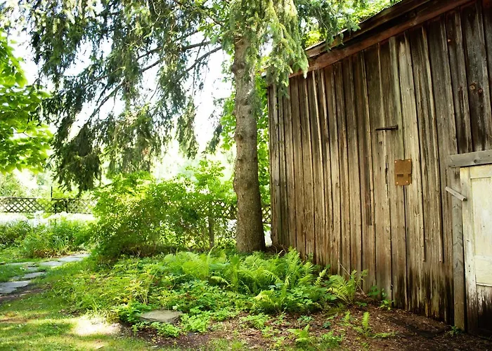 Black Walnut Bed And Breakfast