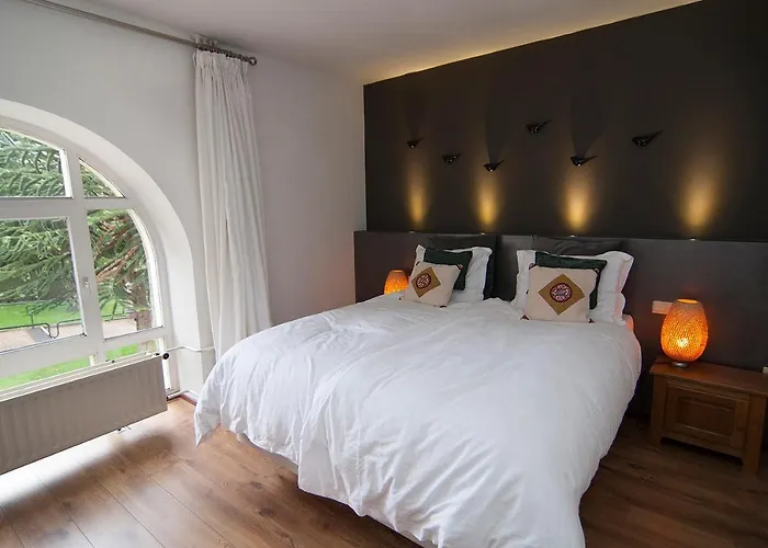 B&B In de zevende hemel Reijmerstok