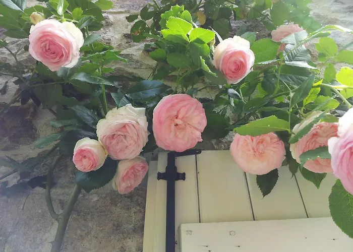 B&B Maison Coralie