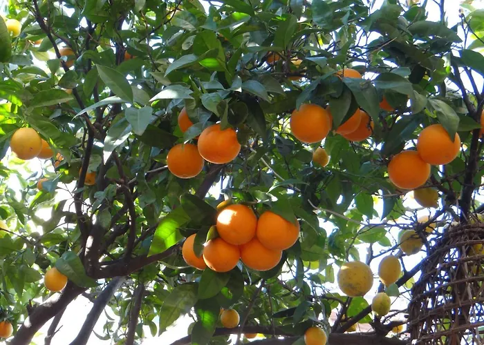 Bed and Breakfast Vecchio Saracino - Carola 1801 Agropoli