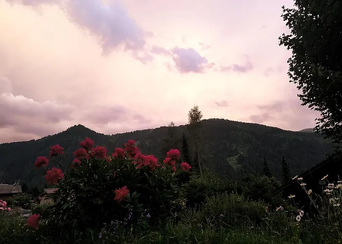 Bed and Breakfast Le Castor Morgins