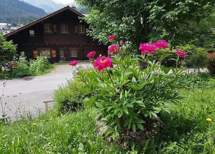 Bed and Breakfast le castor Morgins