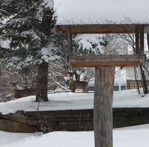 Gite Duchenier Saint-Narcisse-de-Rimouski