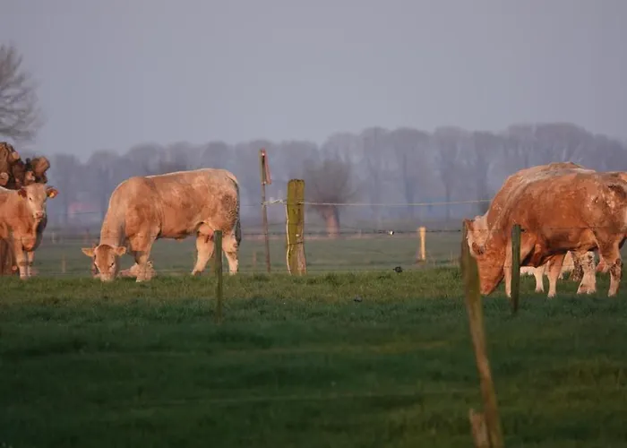 B&B Bij Bronckhorst Steenderen