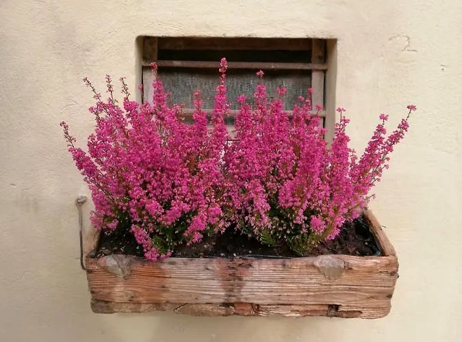 B&B Lady Cocca Savio di Ravenna