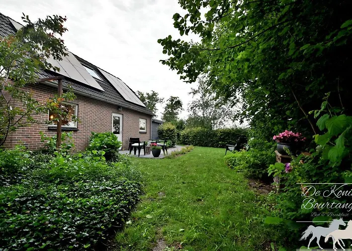 B&B De Konik Bourtange