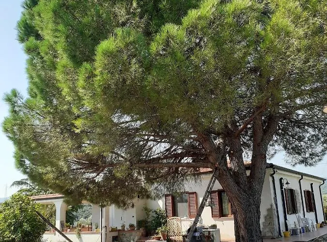 Bed and Breakfast Dimora del Sole Nova Siri