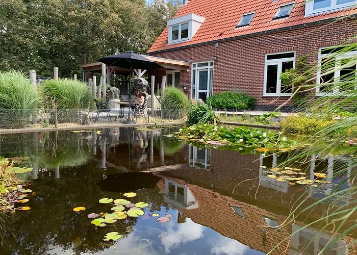 Het Pauwtje Bed and Breakfast Zoutelande