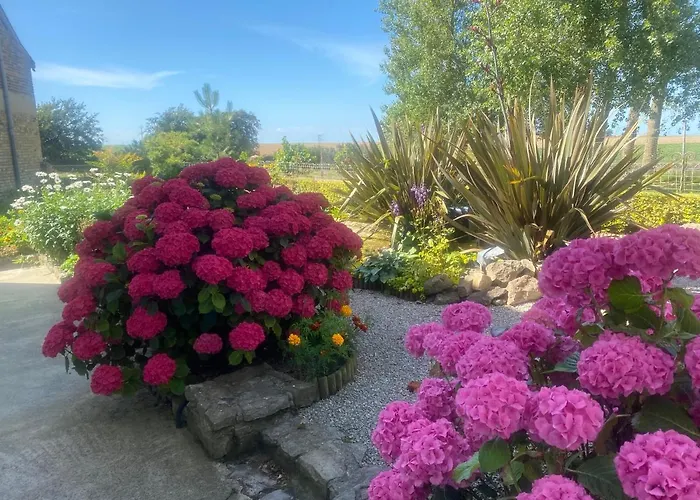 Ferme "Les Flaquettes" Bed & Breakfast Guines