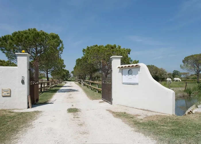 Mas Lou Caloun - Chambre d'Hôte face à la piscine en Camargue - Les Saintes Maries de la Mer