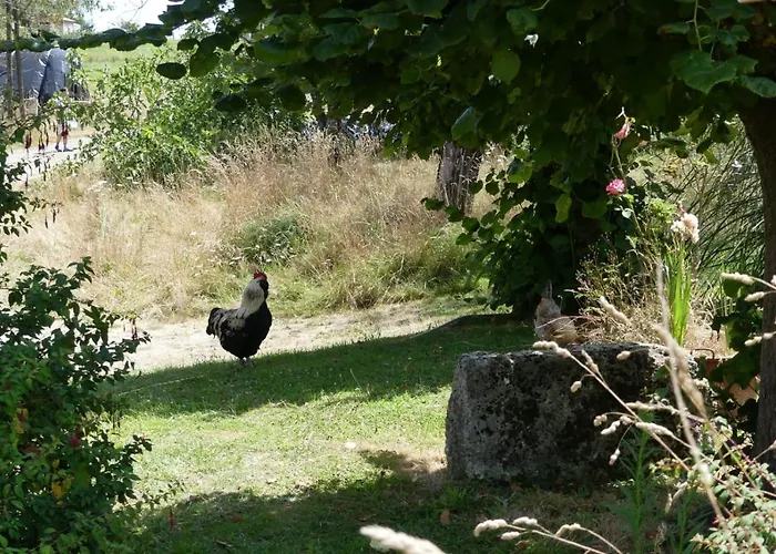 Maison Du Cheval Chalais 