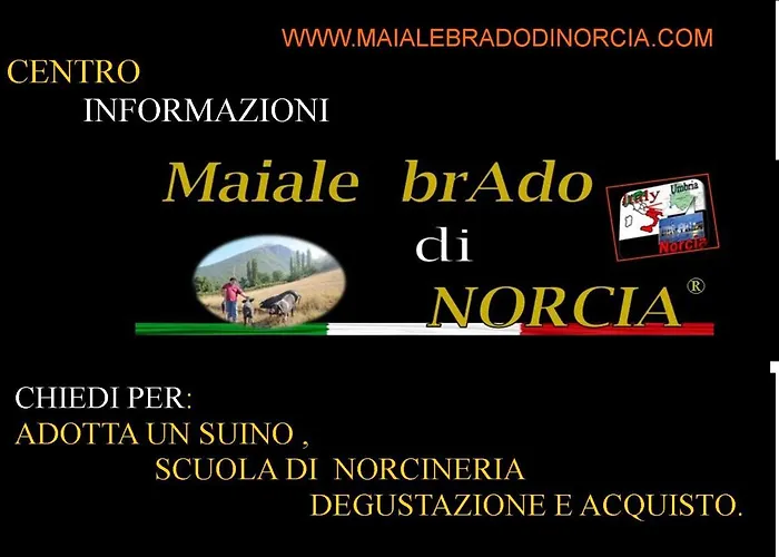 Resort la dimora Maiale brado di Norcia