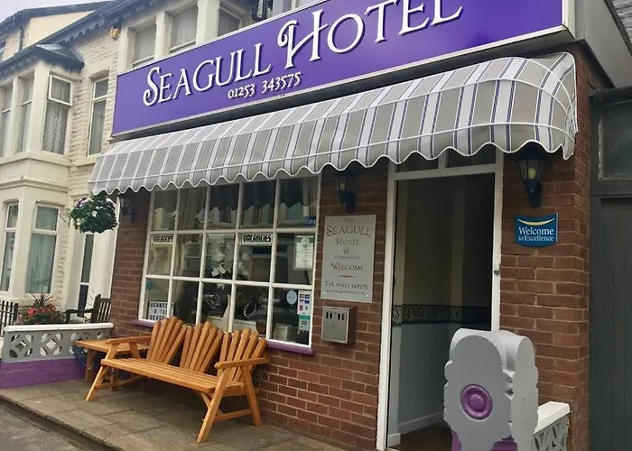 Seagull