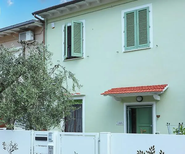 B&B Ulivo Gaio San Miniato