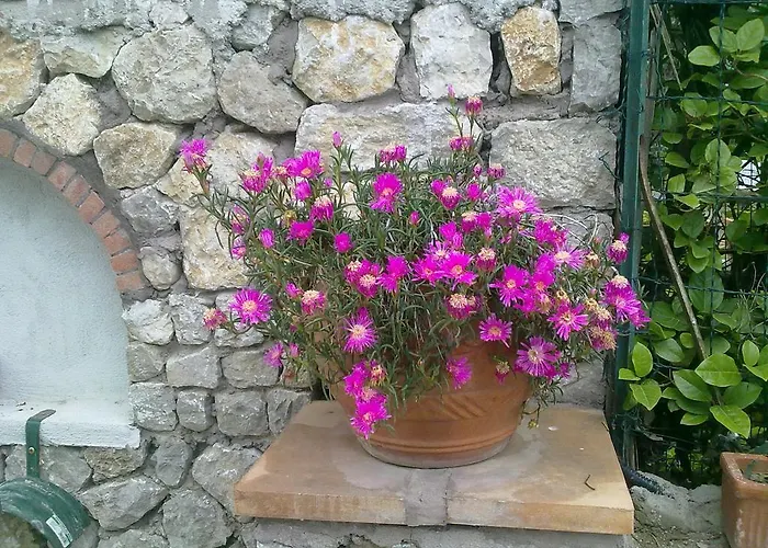 Il Merlo Anacapri 