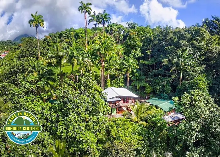 Cocoa Cottage