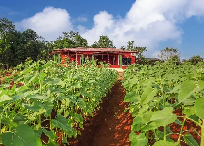 Aarya Farm
