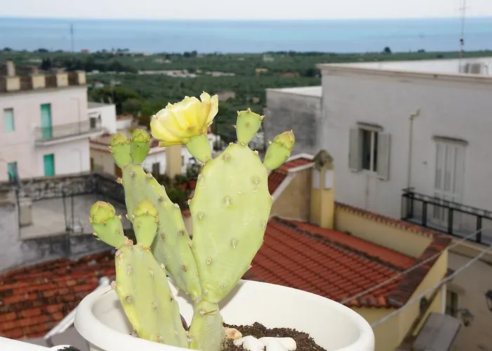 Bed and Breakfast Casa Junno Mattinata