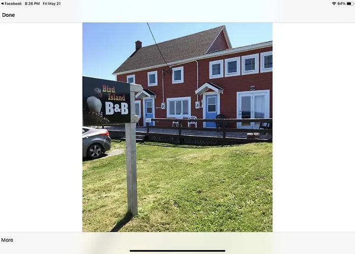 Bird Island Accommodations Elliston