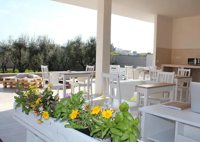 Piccolo Ulivo B&B Salento