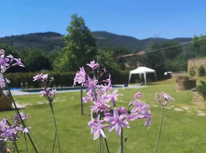 Alba Morus Bed & Breakfast, Sentiti A Casa Nel Cuore Della Toscana Arezzo