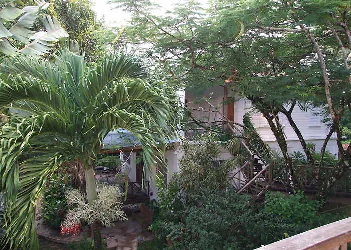 Bluebelize B&B