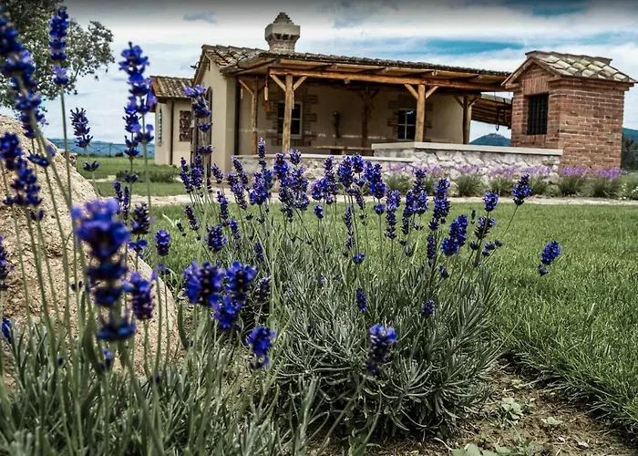 Bed and Breakfast Casa Terzerie Braccagni