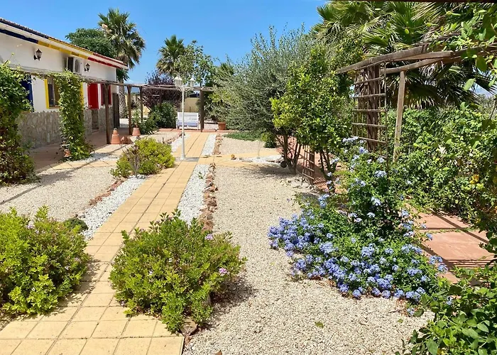 B&B Casa Azul Crevillente