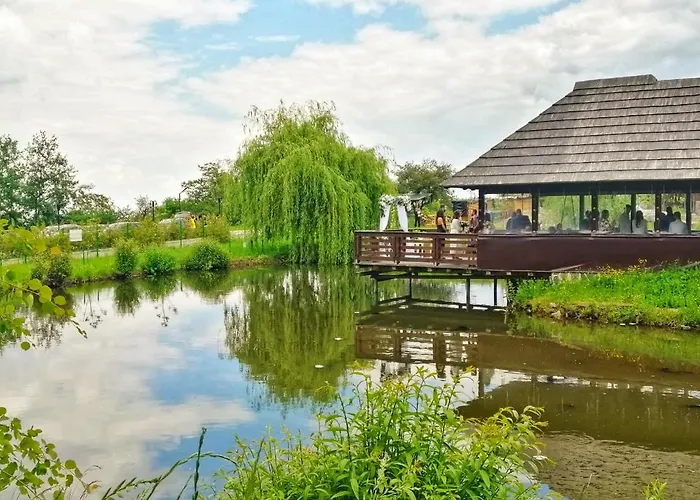 Vatra Boiereasca Bed & Breakfast Cacica