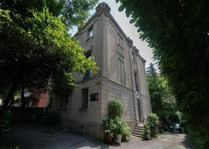 Le Ortensie Di Via Rossetti
