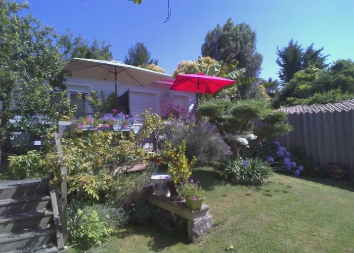 Les Arums De Fondeminjean