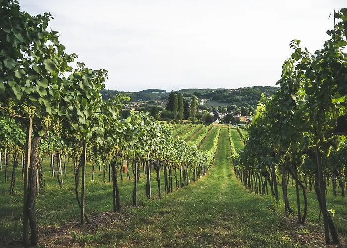 Wein & Gaestehof Erlacher