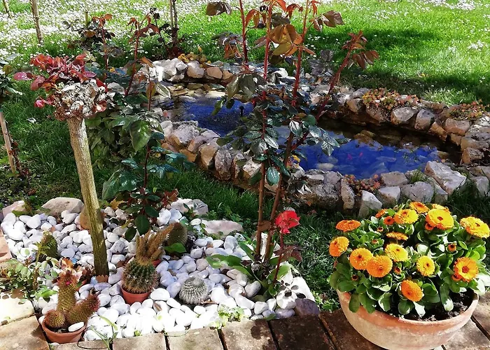 Bed and Breakfast La Ginestra Sirolo
