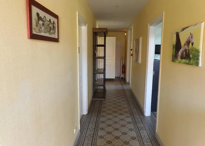 Chambres d'hôtes et logement insolite - Les Canards de la Germaine Sancourt 