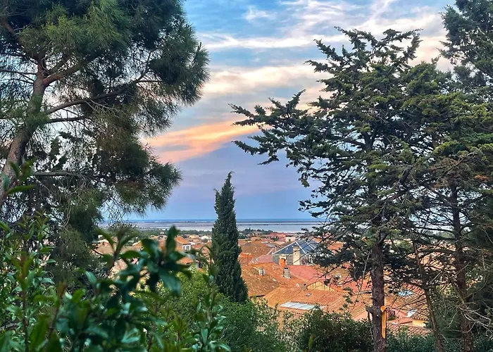 Bed and breakfast Bed&Diner Les Terrasses de La Palme