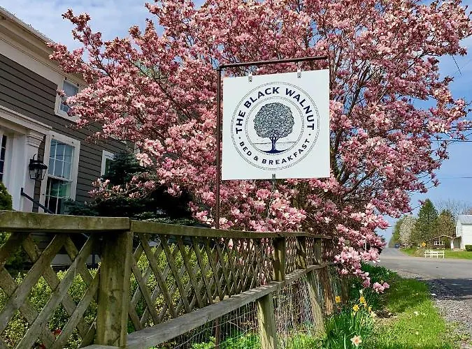 Black Walnut Bed And Breakfast