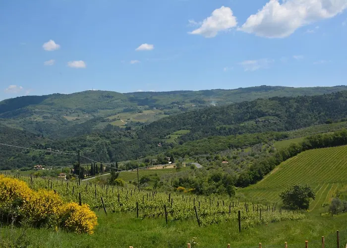 Bed and Breakfast Rosso Del Chianti Panzano in Chianti